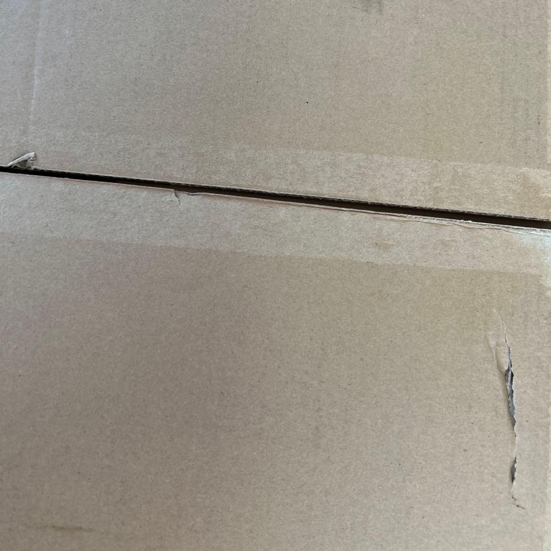 ポケモン サーナイト 等身大 ぬいぐるみ