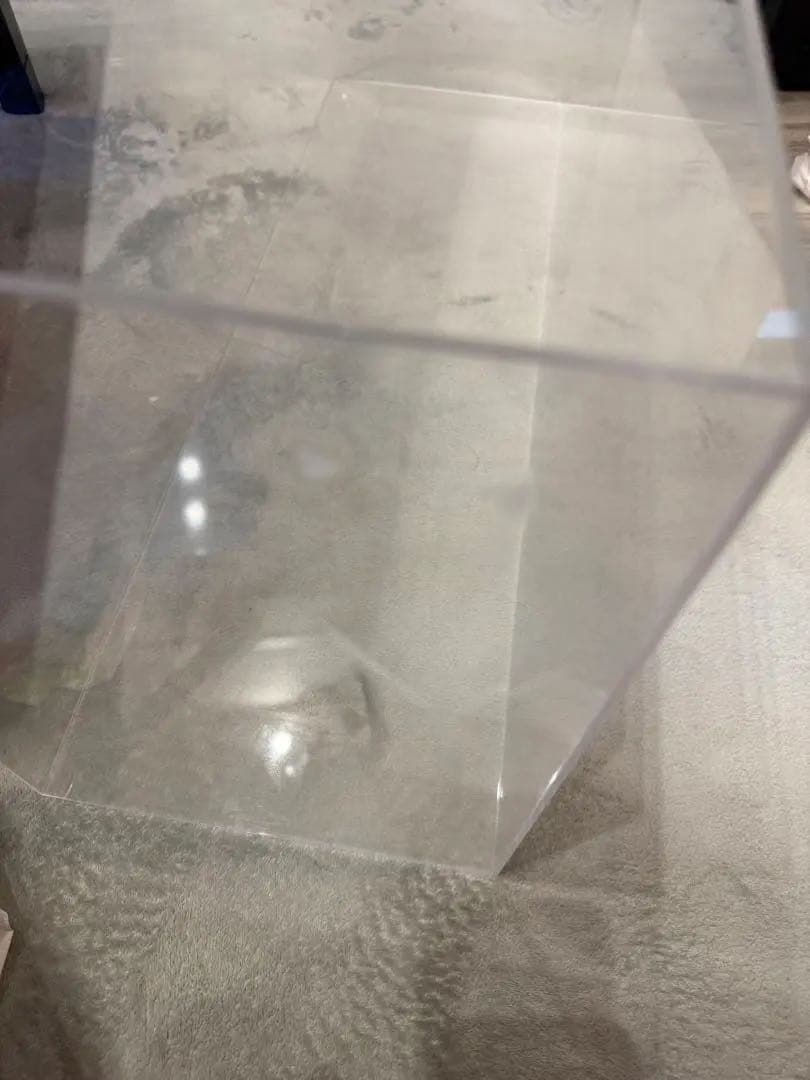 ‼️早い者勝ち‼️デアゴスティーニワイルドスピードダッチチャージャー完成品