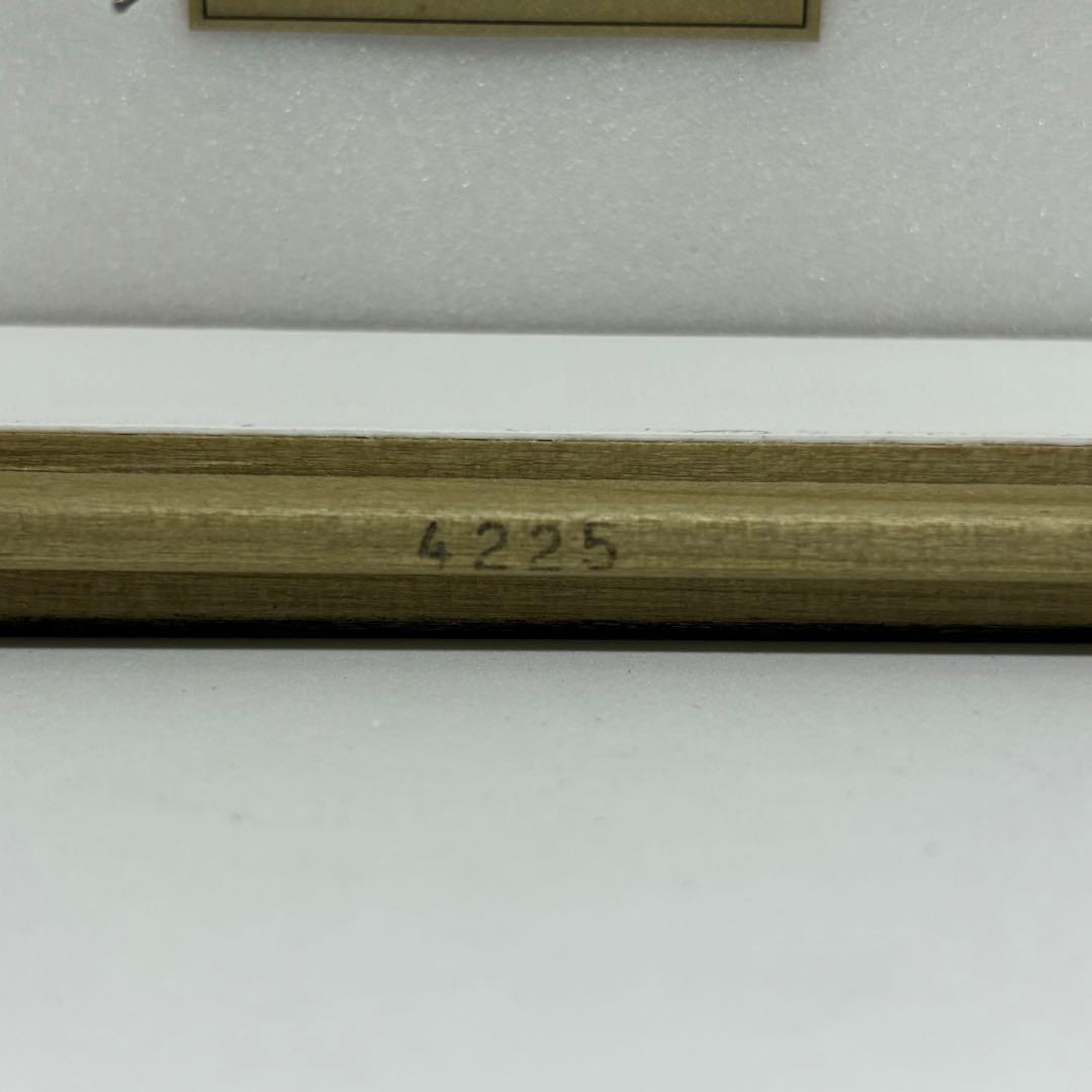 標本 エラフスホソタカクワガタ ドイツ箱