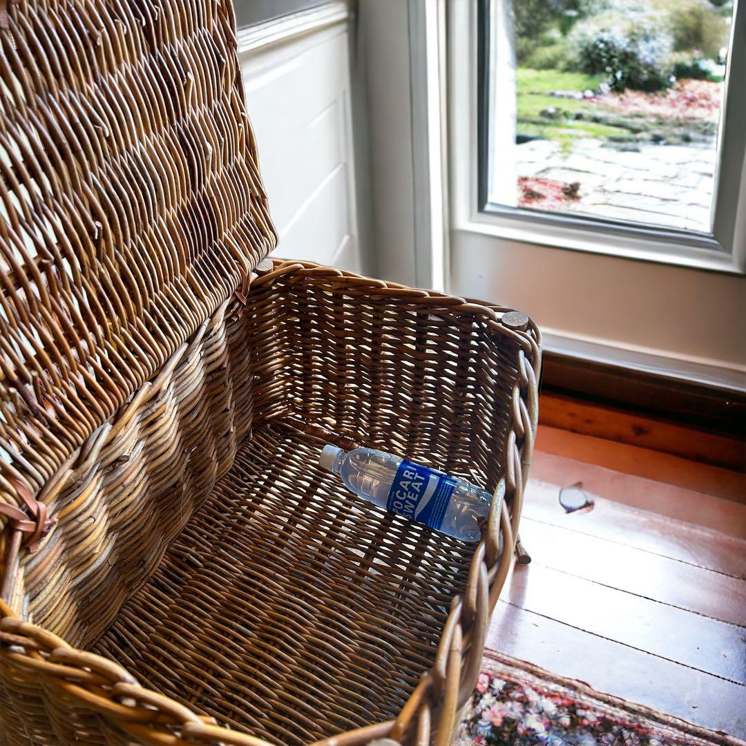 インテリアバスケット　アラログ　チェスト　蓋付きバスケット