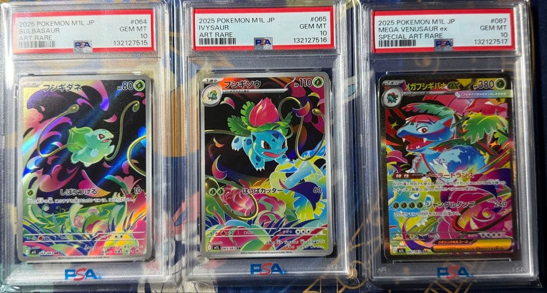 PSA10 6連番 フシギバナ 進化ラインセット フシギダネ AR SAR