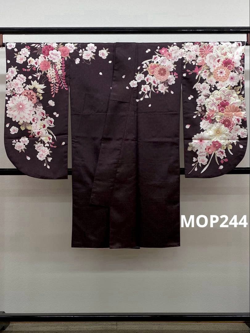 2尺袖 ポリエステル着物 袴用 銀通し 刺繍 紋意匠