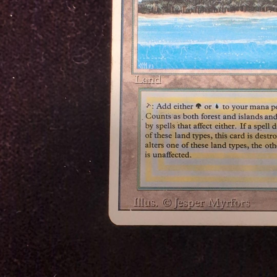 ポ*フ様 MTG　Tropical 　3ED