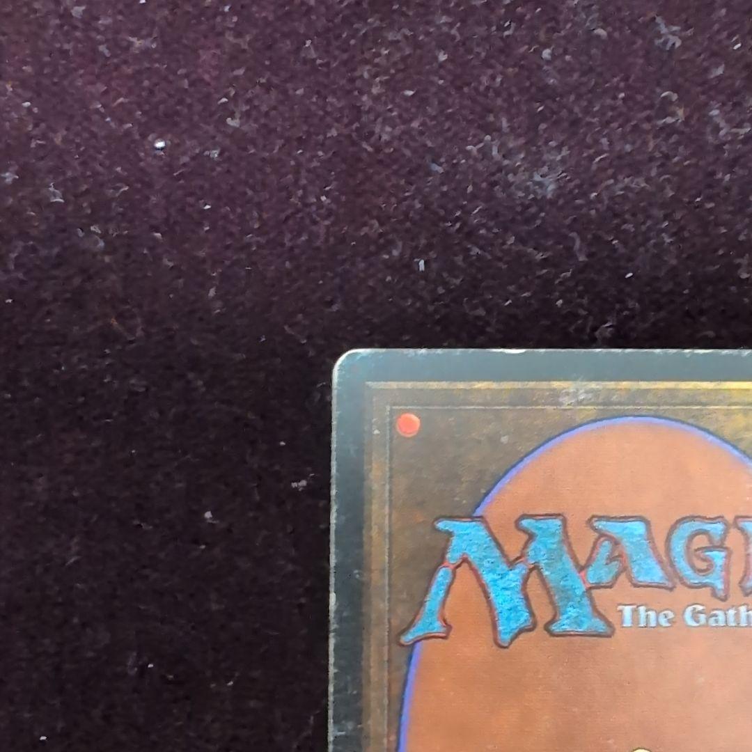 ポ*フ様 MTG　Tropical 　3ED