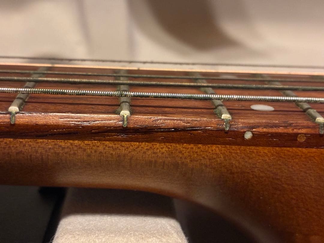 Godhin 5th avenue ゴダン　アーチトップ　アコースティックギター