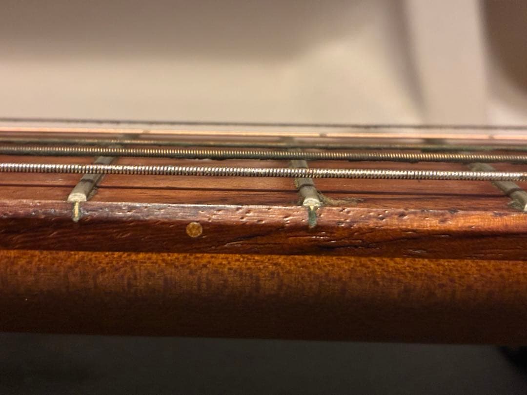 Godhin 5th avenue ゴダン　アーチトップ　アコースティックギター