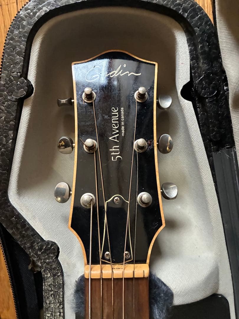 Godhin 5th avenue ゴダン　アーチトップ　アコースティックギター