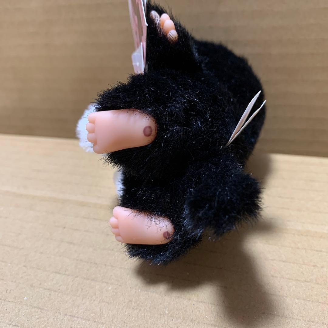 【希少】ベビチッチ　男の子　黒ネコ