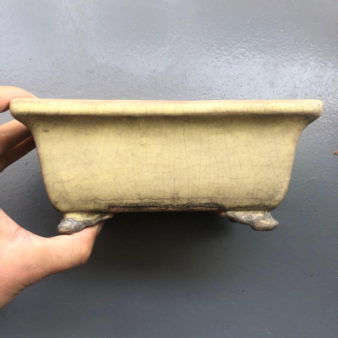 170.周寶山 黄釉雲足長方鉢 盆栽鉢 植木鉢 18*12.5*7.5cm