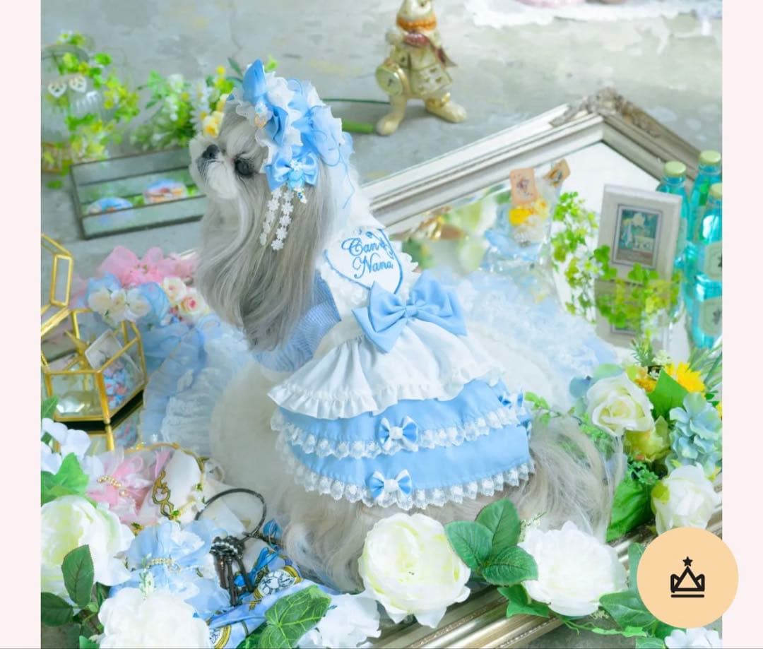 ❤️新品未使用‼️犬服CanNanaピンクアリス エプロンワンピース