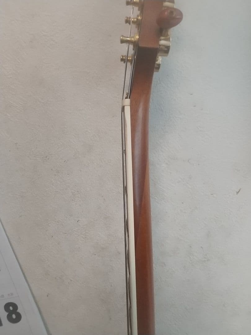 フジゲン/F&CアンボーイAnboy☆AF-55c オールマホガニー