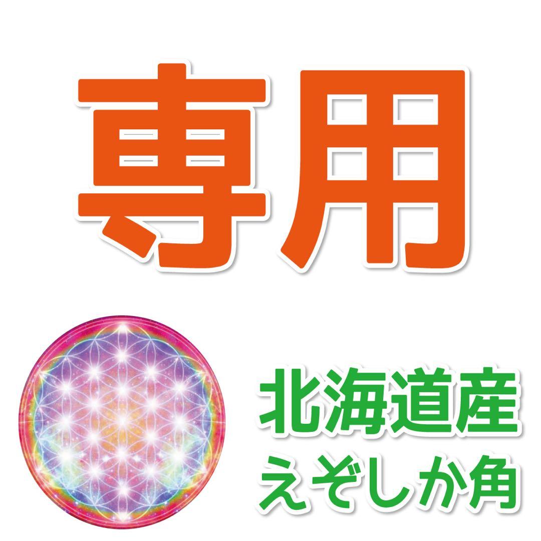 E＆R(๑•́‧̫•̀๑)♡♡　エゾシカの角