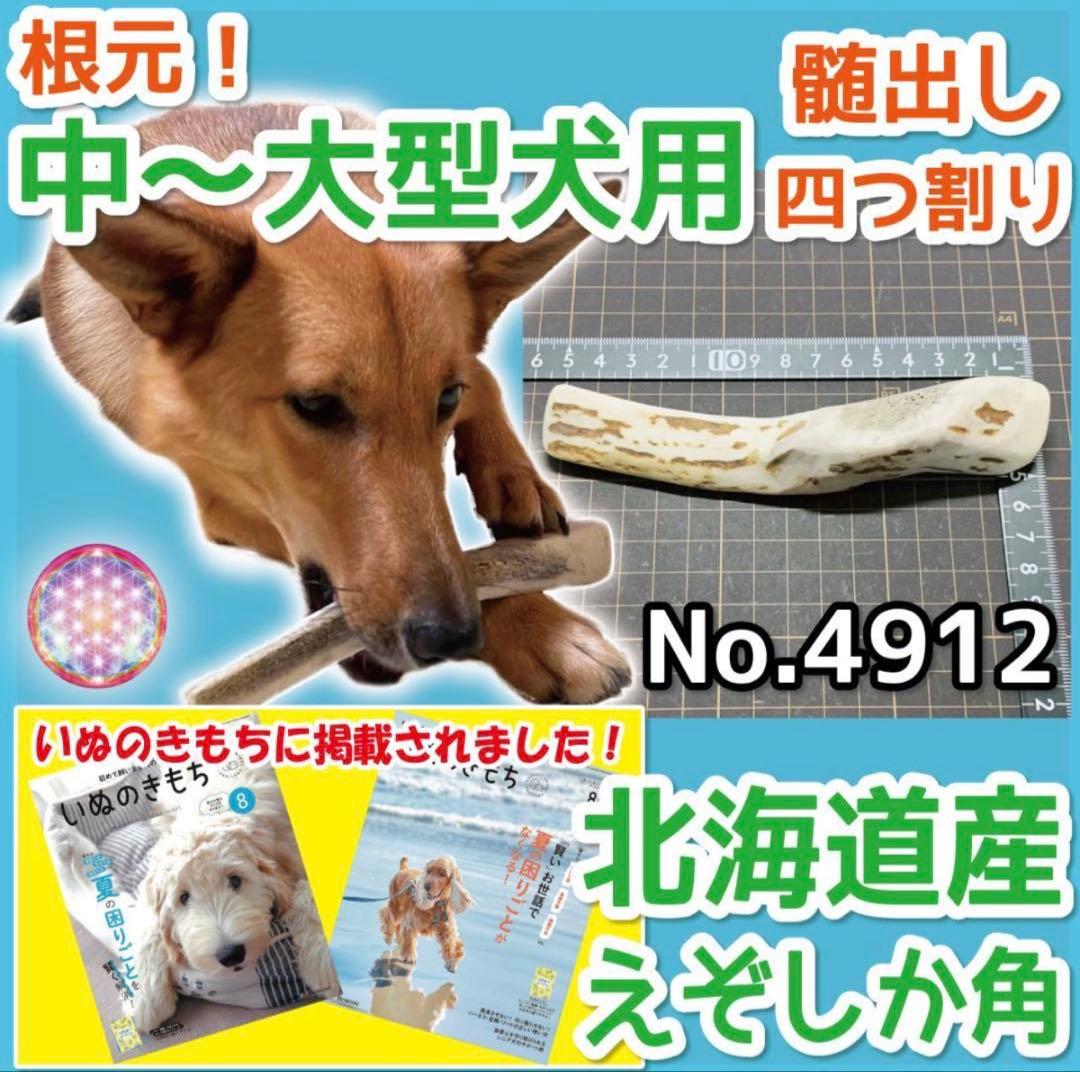 E＆R(๑•́‧̫•̀๑)♡♡　エゾシカの角