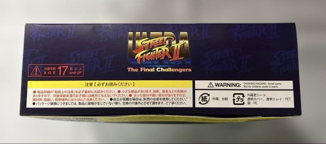 ザ・ファイナルチャレンジャーズ アクションフィギュア サガット