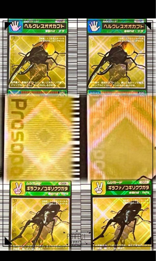 希少⭐︎美品　コーカサスオオカブト　ムシキング　2003春　十字　学名白文字