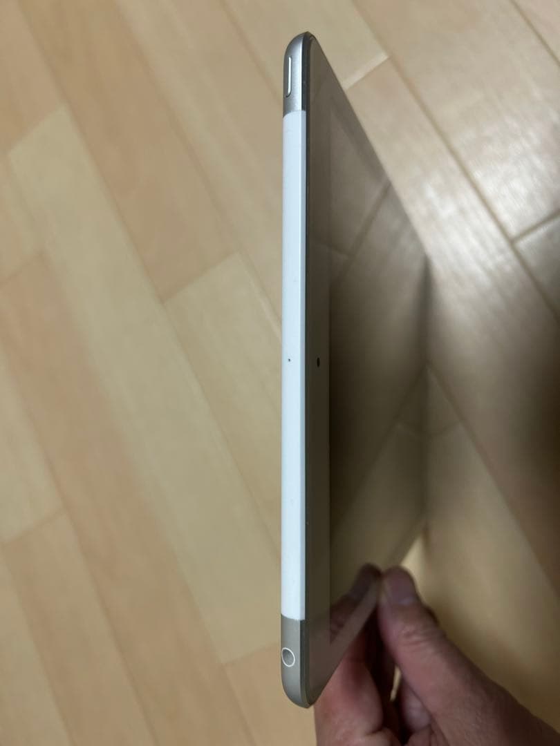 Apple iPad (第6世代 美品Wi-Fi+cellular本体のみ