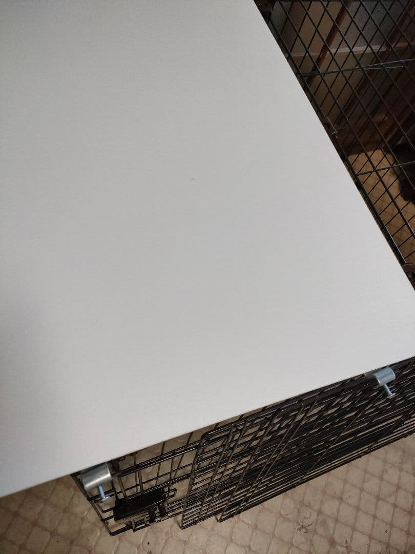 コンビネーションサークル　アイリスオーヤマ2段