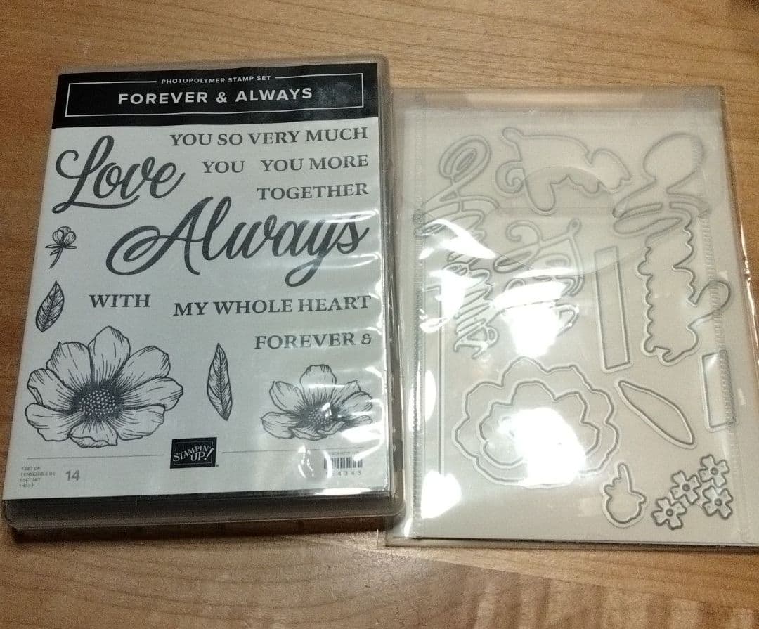 再お値下！未使用　大きなお花スタンプとダイ　スタンピンアップ