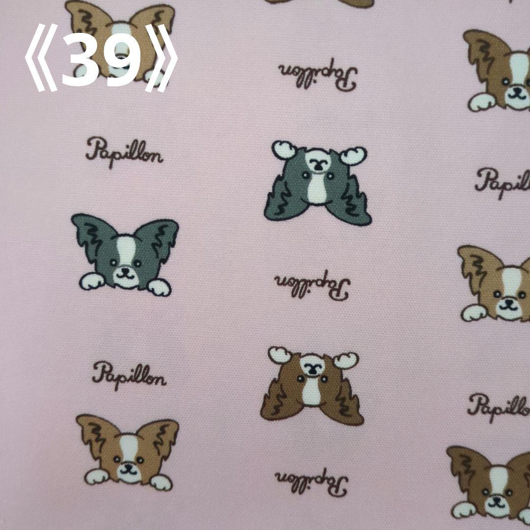 ペット✩犬✩マナーベルトオーダー用 サンプル(確認用)パピヨン犬柄 ピンク