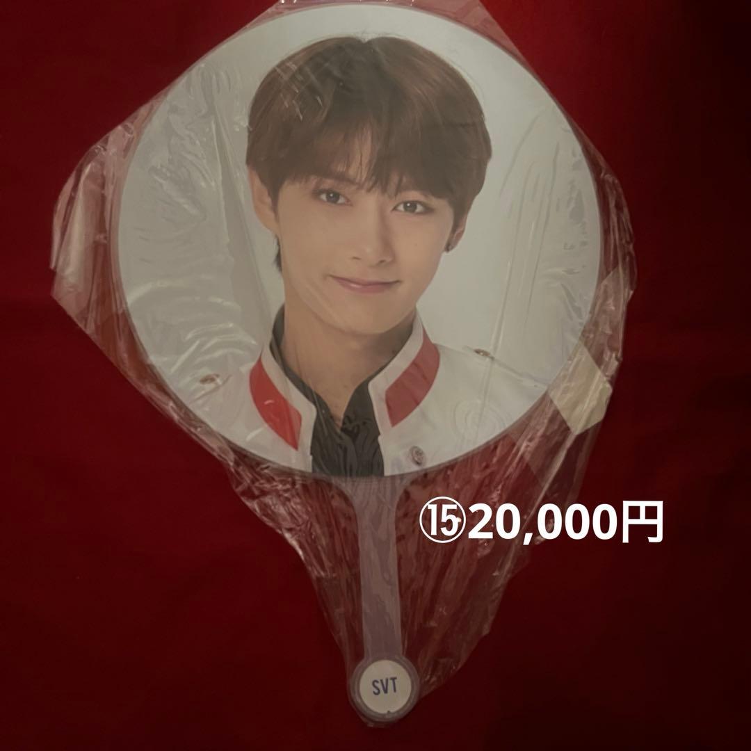 seventeen セブチ　ジュン　うちわ