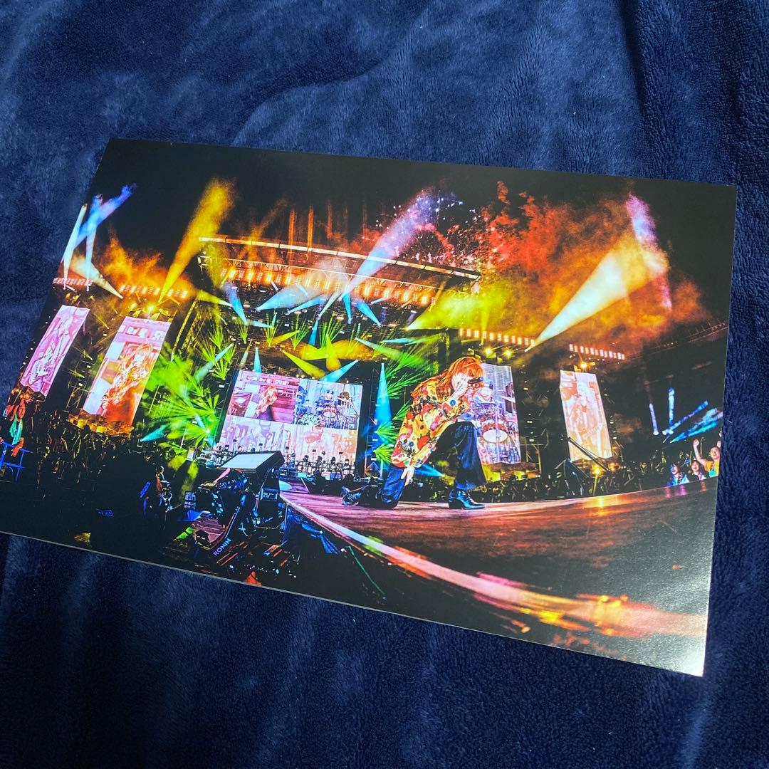 SUPER BEAVER 渋谷龍太 ZOZOマリンスタジアム パネル