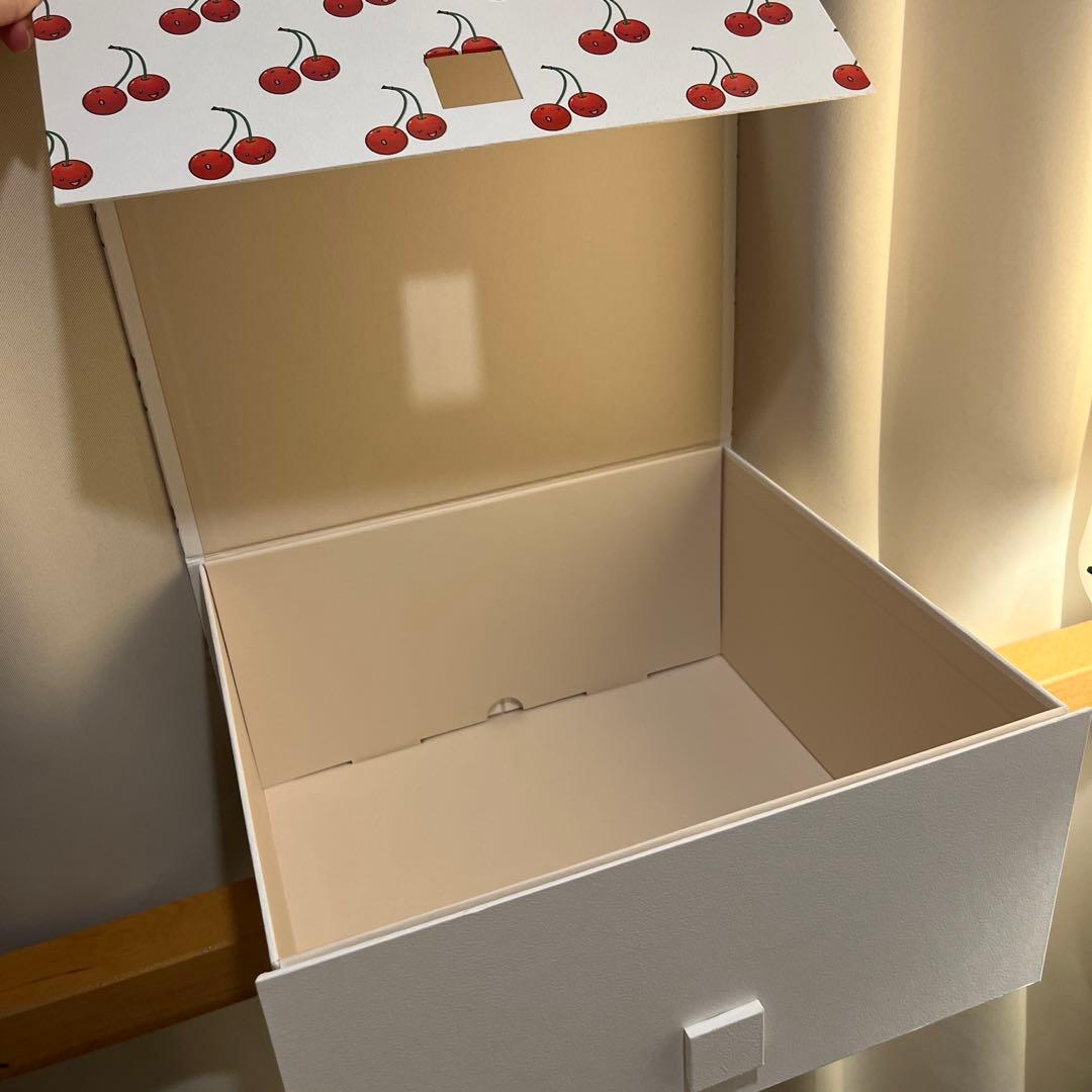 LOUIS VUITTON ルイ・ヴィトン × 村上隆 チェリー柄 4点セット