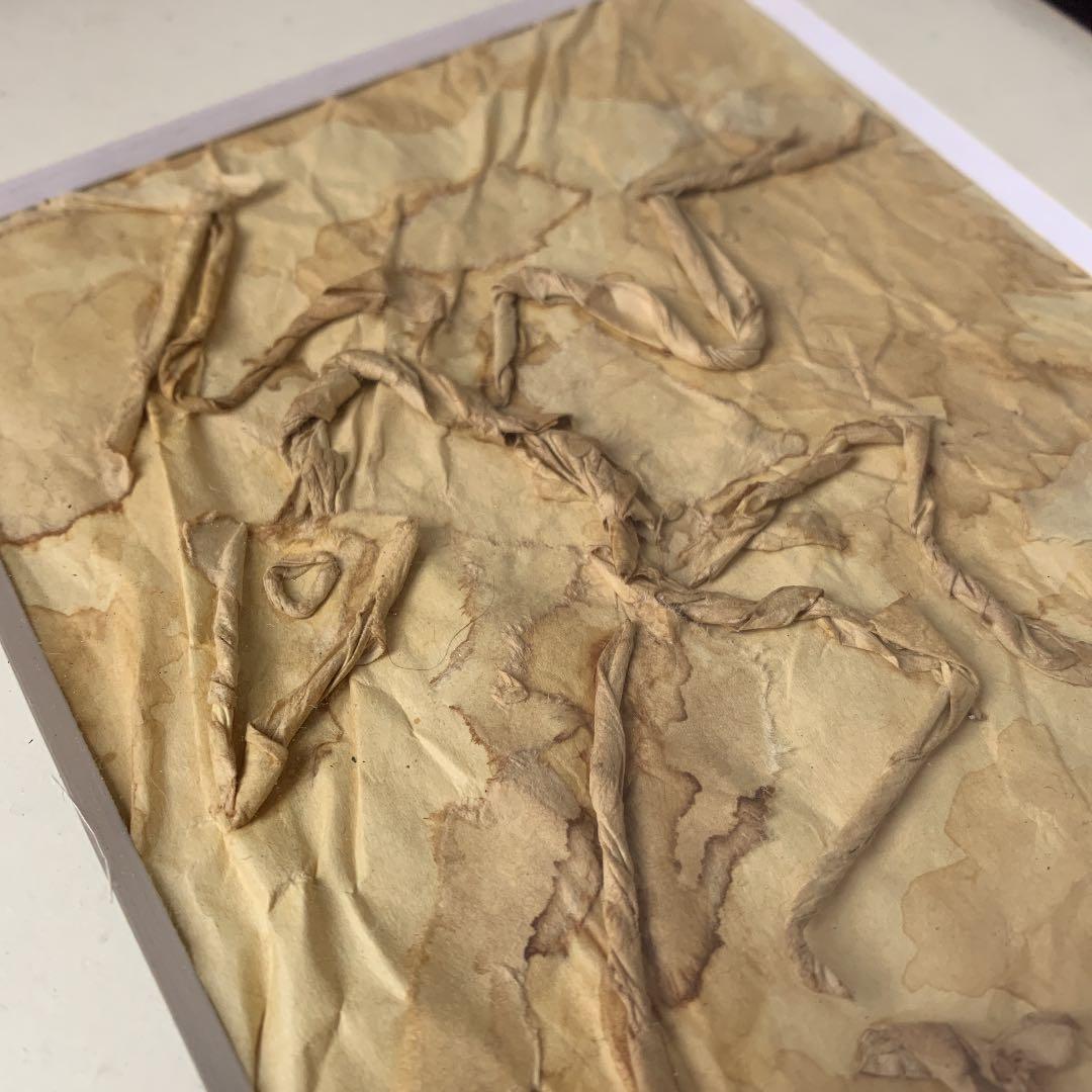 私の作った　ちぎり絵　始祖鳥の化石　木製ビンテージフレーム付き　ジュラ紀