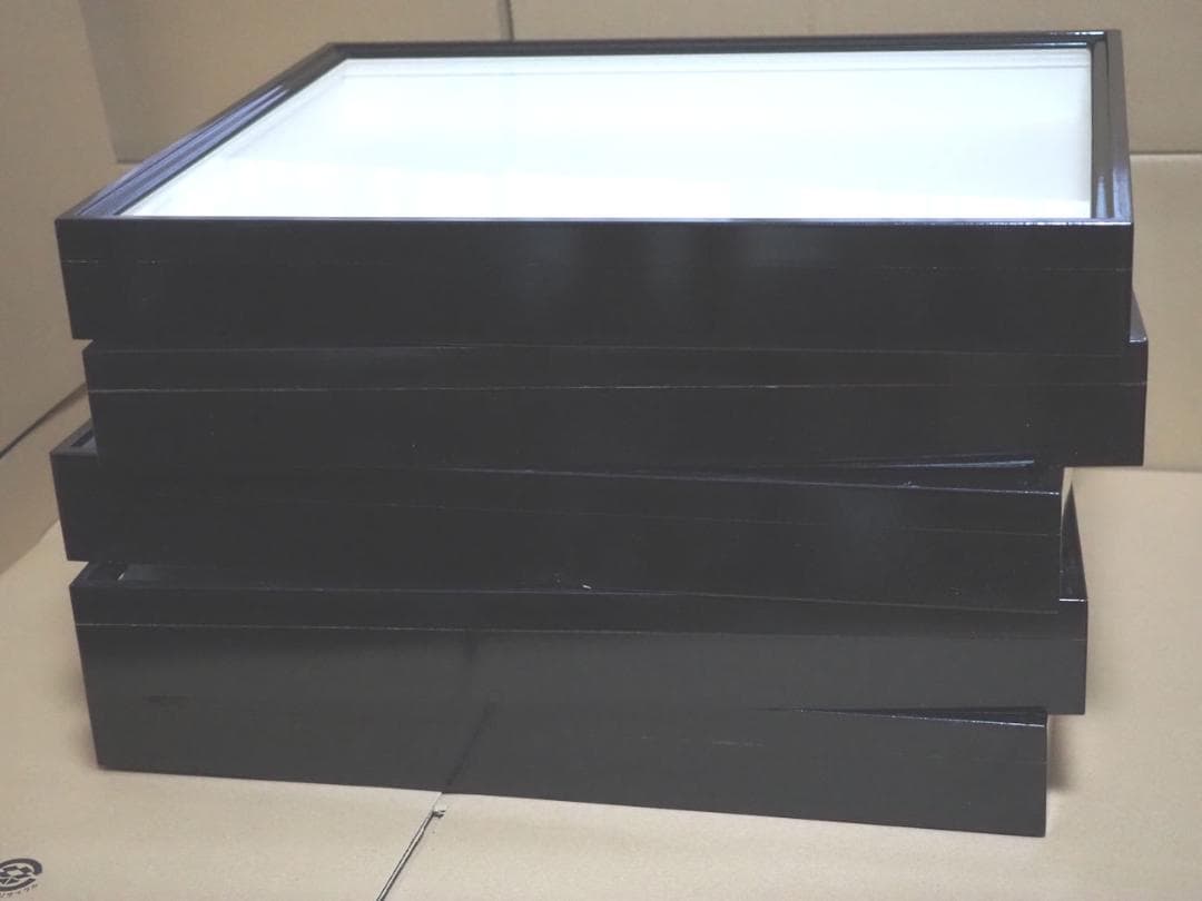 標本箱 ドイツ箱　大型　5個セット