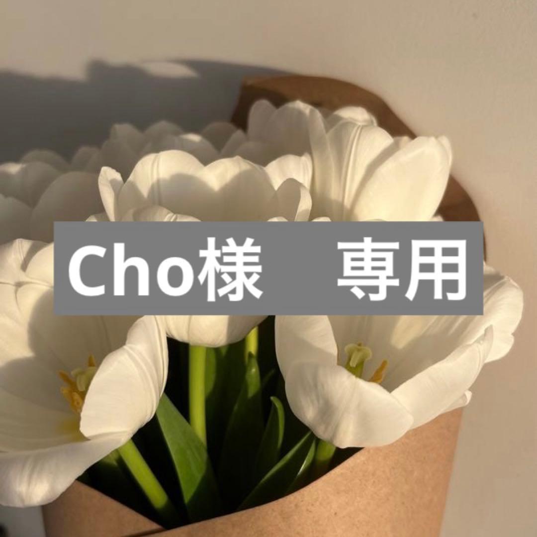 ノート・メモ帳 Cho