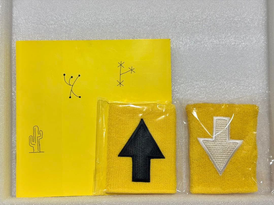 【値下げ中】THE HIGH-LOWS CD購入特典サイン その他まとめ