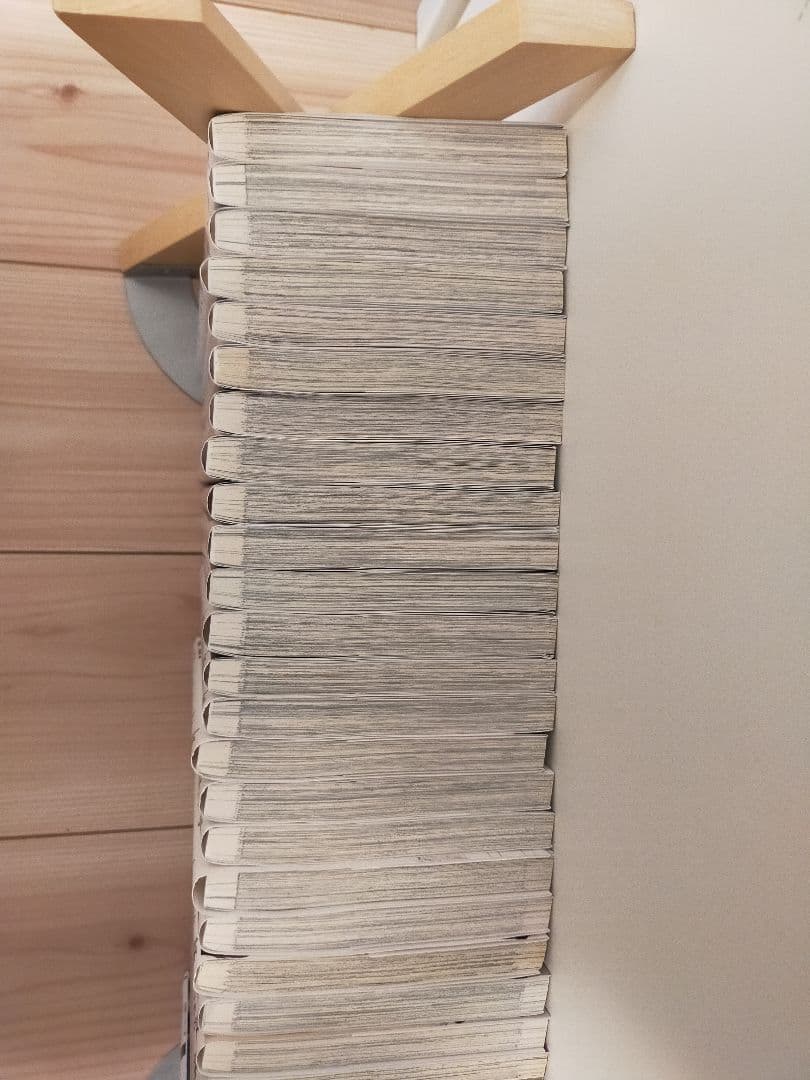 文豪ストレイドッグス全巻セット 1-25巻 アンソロジー デッドアップル わん