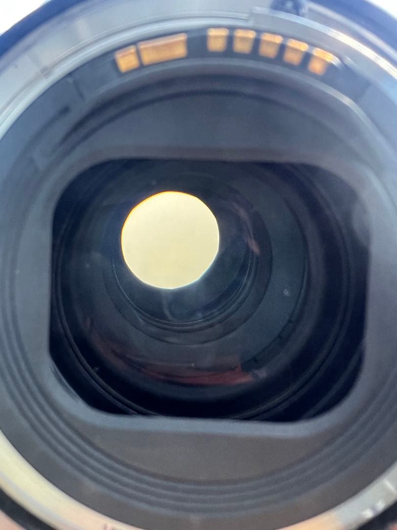 レンズ(ズーム) Canon EF 24-105mm f/4L IS II USM