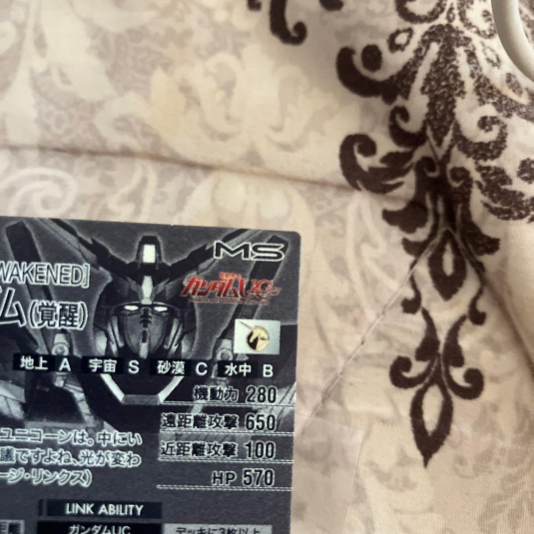 専用ユニコーンのみ