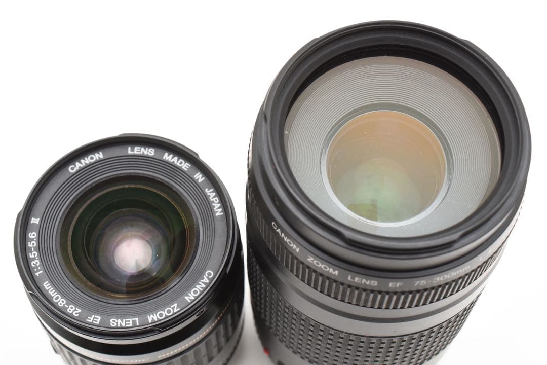 一眼レフカメラCanon EOS 7D MarkⅡ 標準&望遠ダブルレンズセット