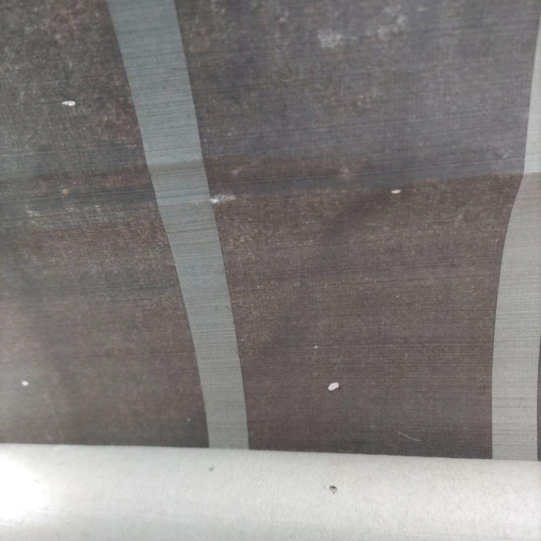 龍と女性の図 掛軸　Y270