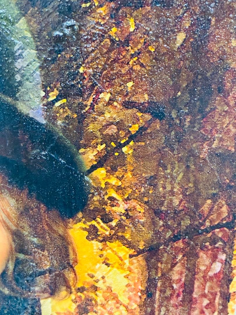 期間限定価格 幻想世界の少女画家 横田美晴 『琥珀色の詩集』P4号 真筆作品