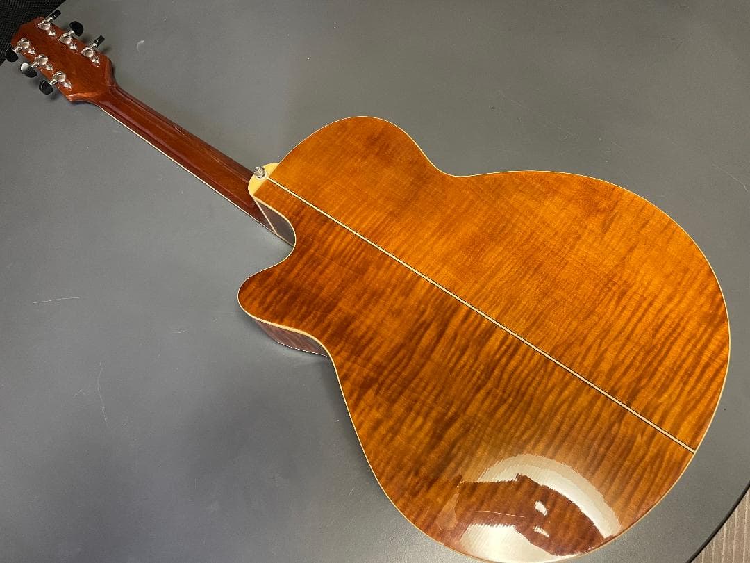 ギター Takamine Cooder TCP-560VB