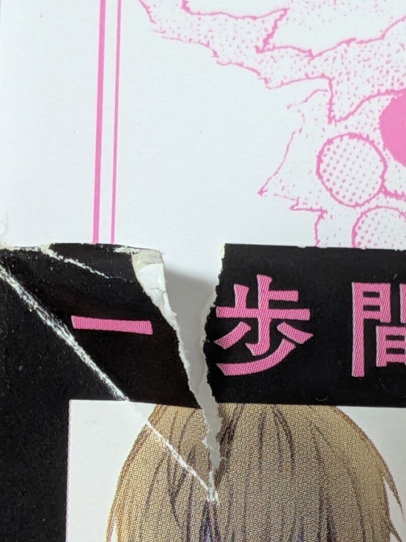 25日まで‼️ ある日、お姫様になってしまった件　全巻