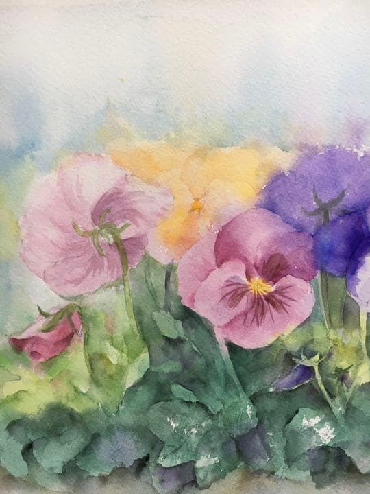 透明水彩原画パンジー春の花飾りA