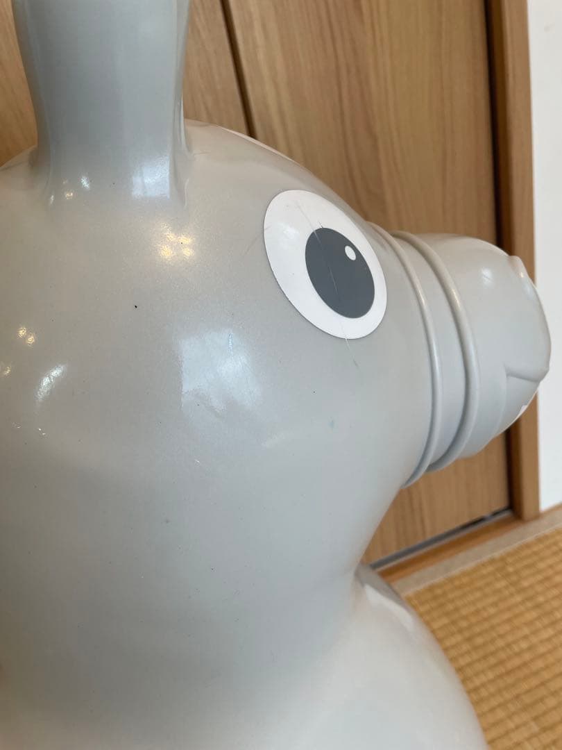 ロディジャンボ