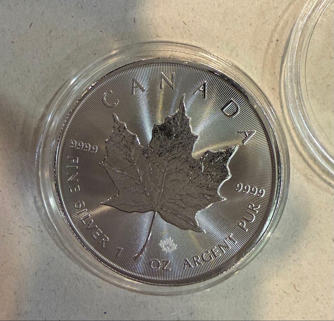 チャールズ3世 5ドル 銀貨 2024年