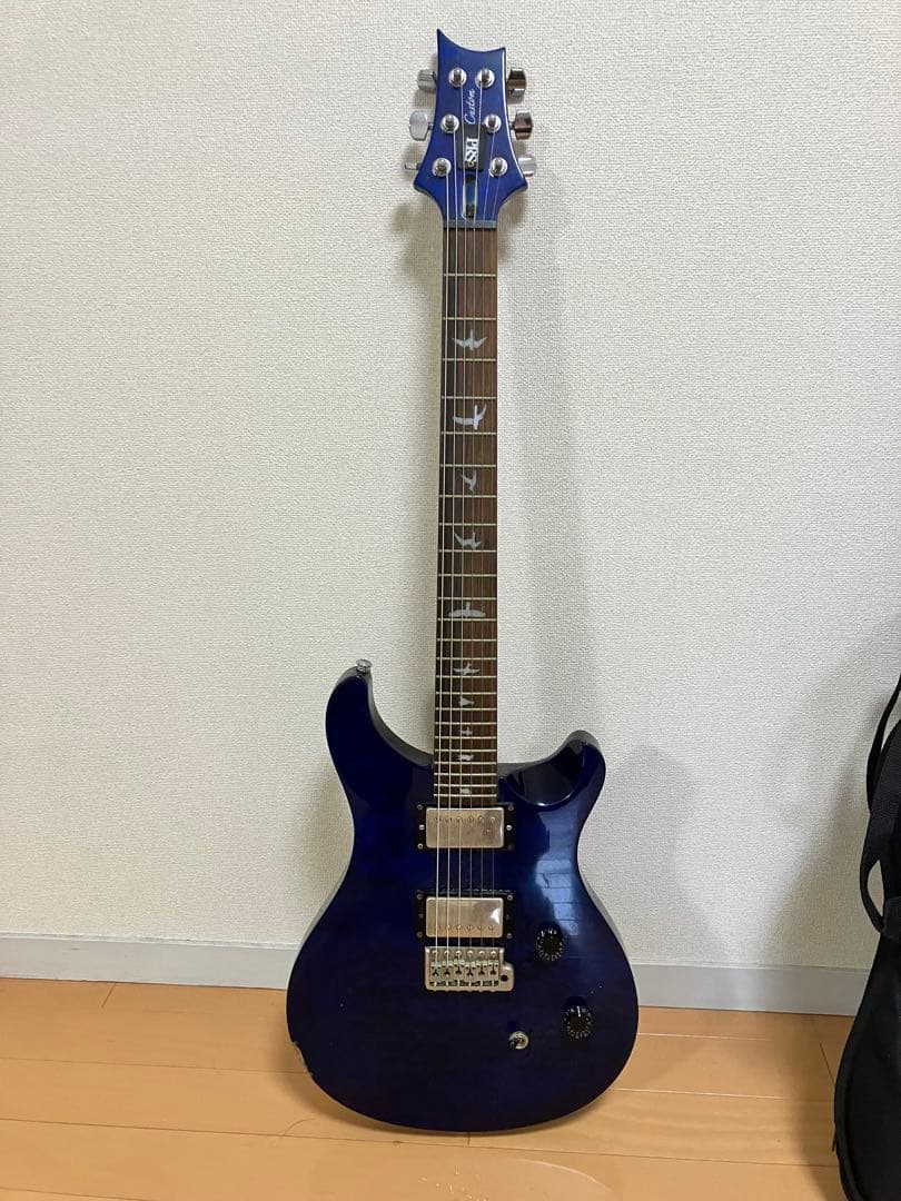 リンPRS SE / 2013 SE Custom 24