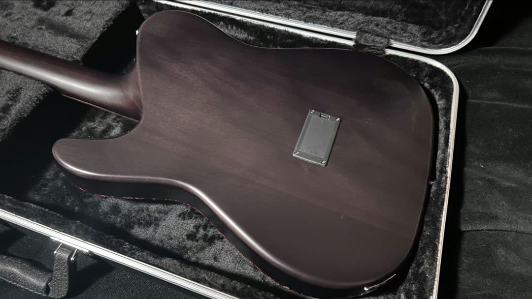 SHECTER OL-FL/BLK エレアコ