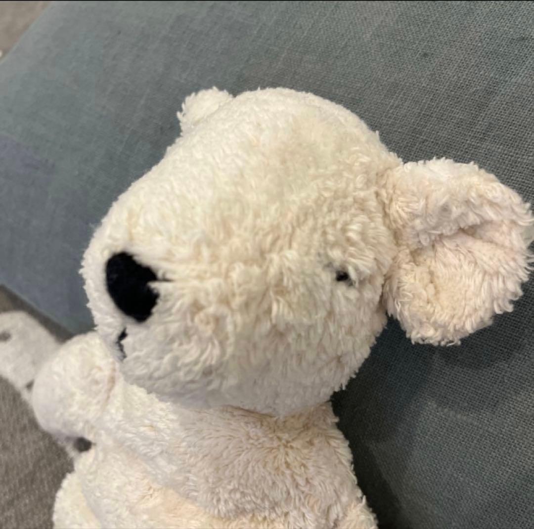 Senger Naturwelt ゼンガーナチュウェルト ヒーリングピロー