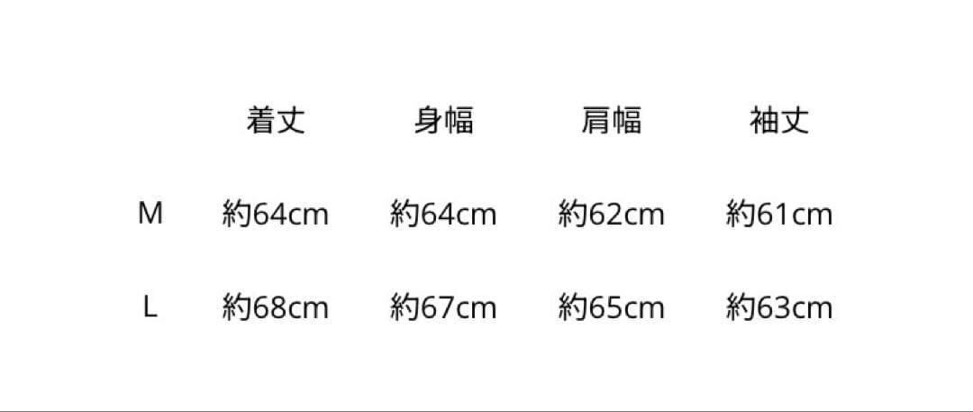 INFINITY MOON HOODIE サイズL ØMI パーカー ツアー