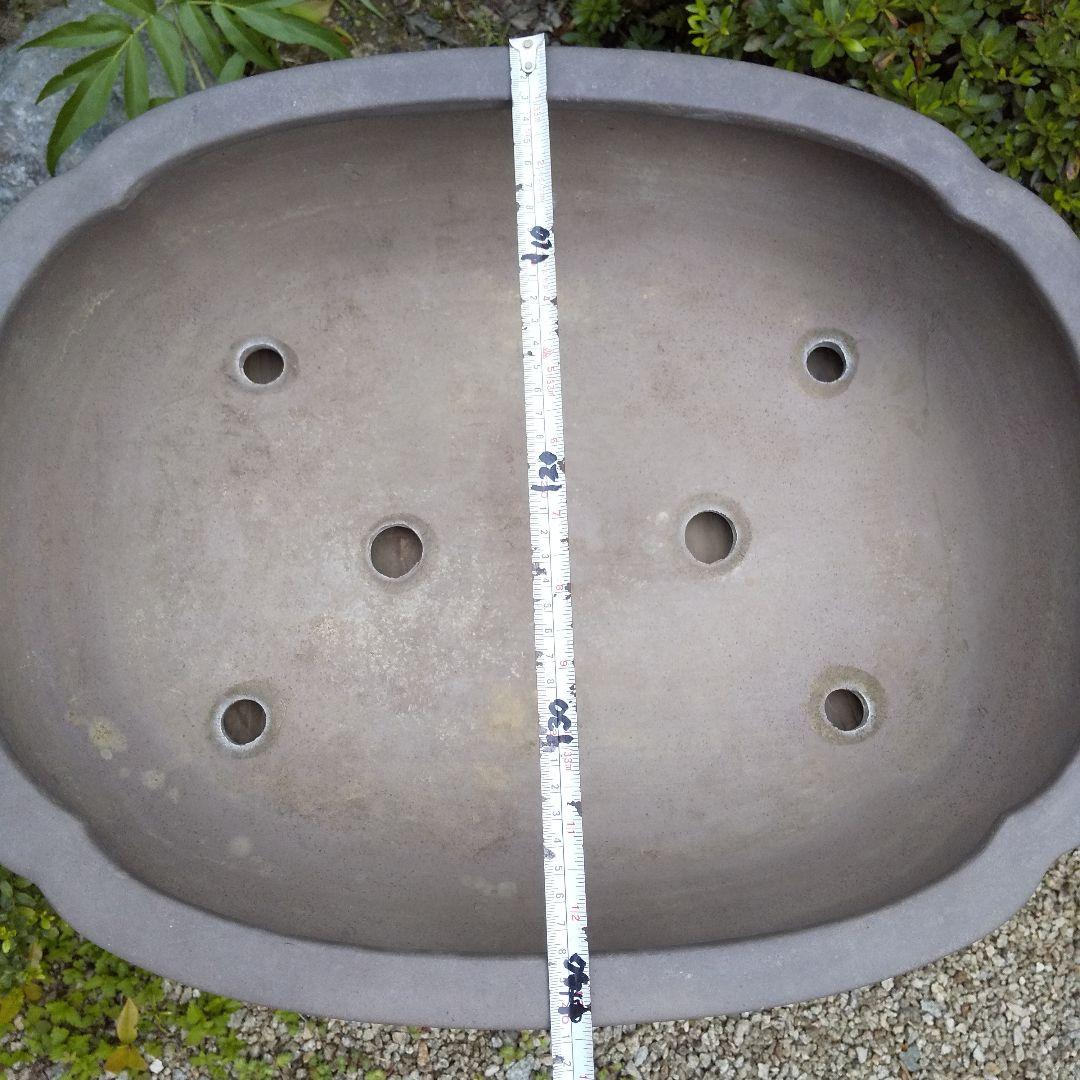 常滑焼 盆栽鉢 松柏類 大品『松下陶園』泥鉢 泥物 外縁 小判 隅入 袋形 切足