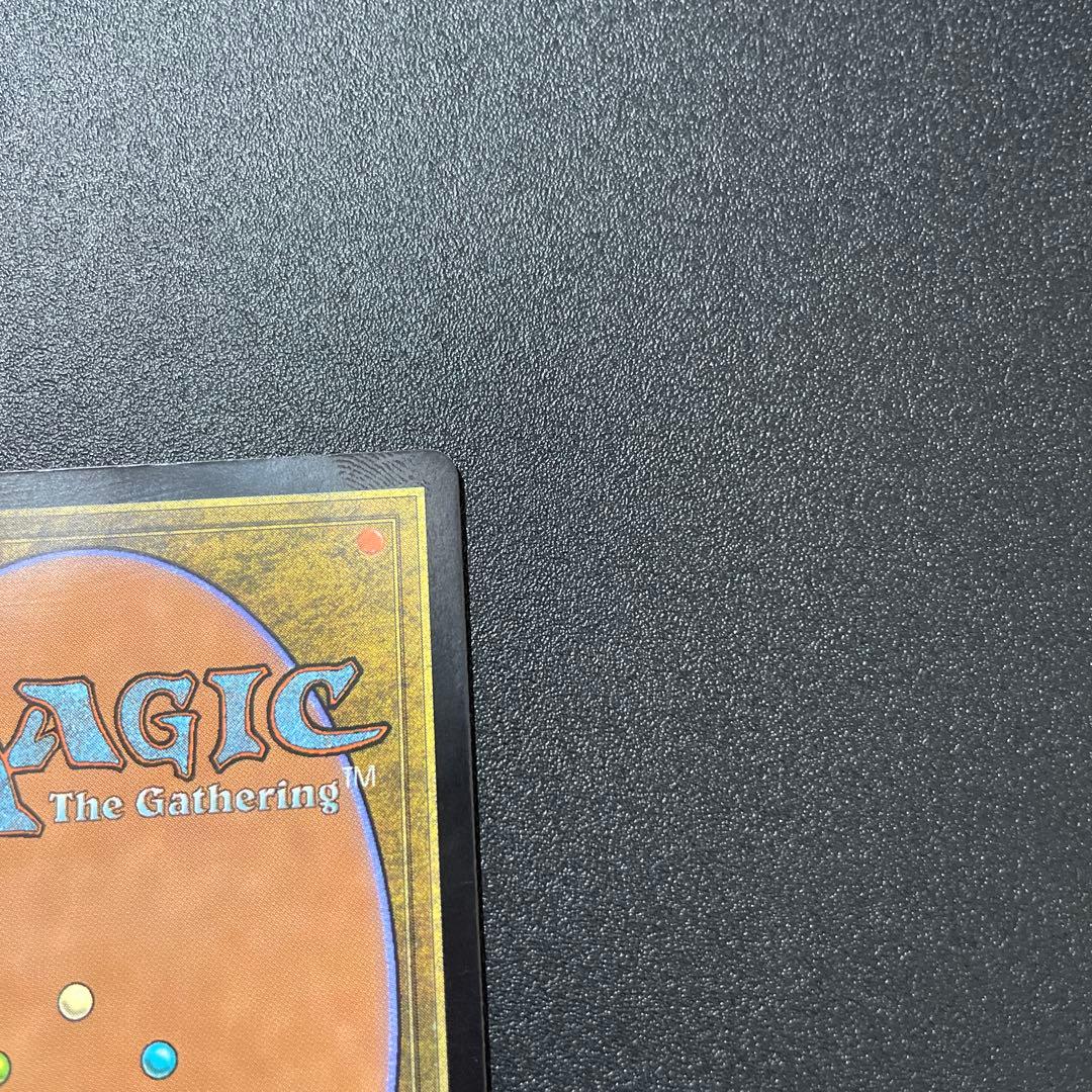 MTG foil 英語版 行き届いた書庫 ボーダーレス版 ②