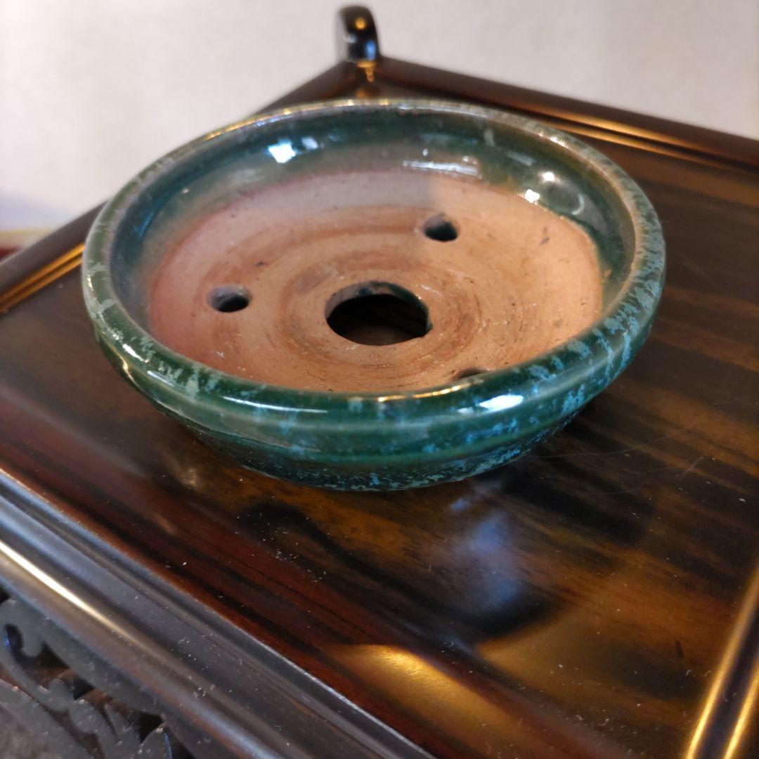 義村秀峰の豆鉢、未使用鉢、常滑焼、盆栽鉢、皿鉢、植木鉢、ミニ盆栽鉢、小品盆栽鉢