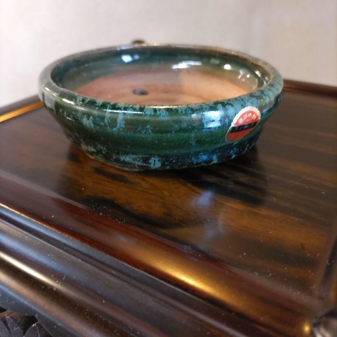 義村秀峰の豆鉢、未使用鉢、常滑焼、盆栽鉢、皿鉢、植木鉢、ミニ盆栽鉢、小品盆栽鉢