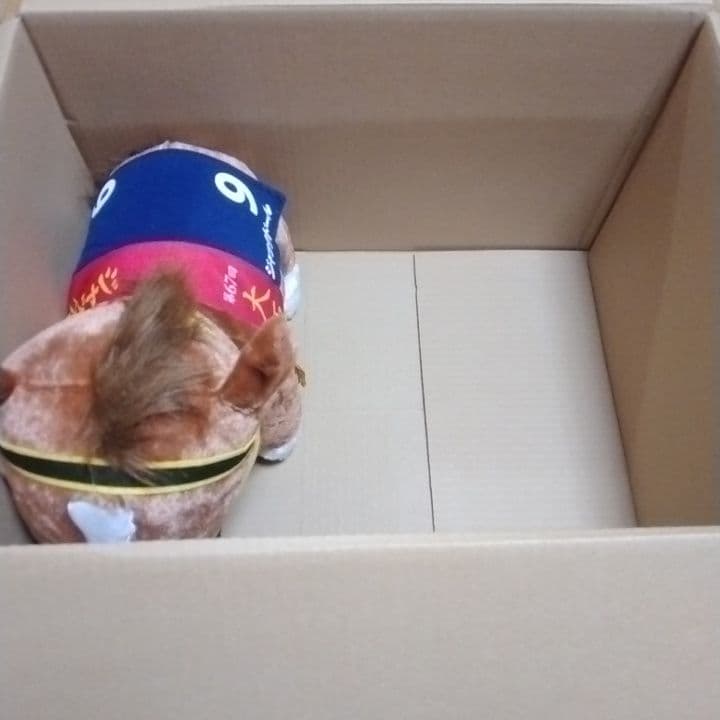 詰め放題　120サイズ